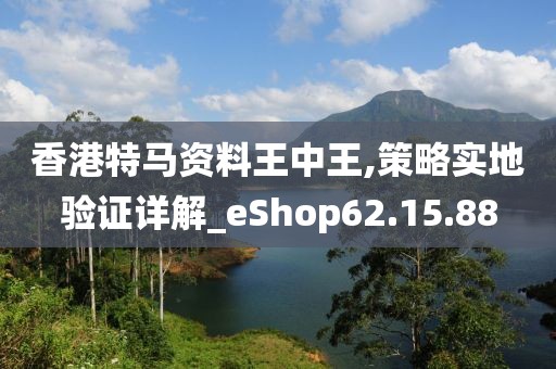 香港特马资料王中王,策略实地验证详解_eShop62.15.88