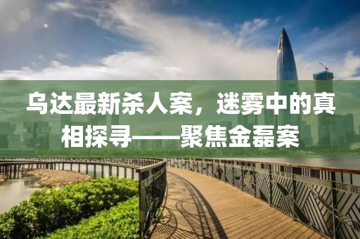 乌达最新杀人案，迷雾中的真相探寻——聚焦金磊案