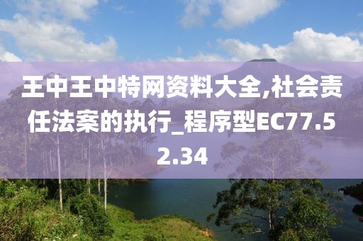 王中王中特网资料大全,社会责任法案的执行_程序型EC77.52.34