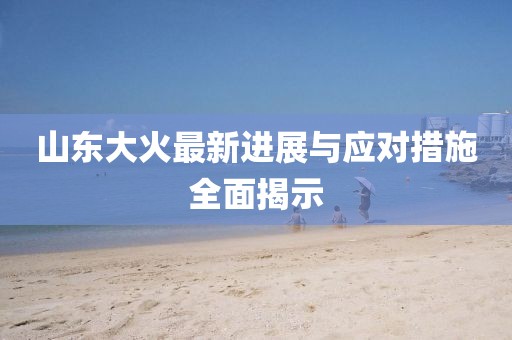 山东大火最新进展与应对措施全面揭示