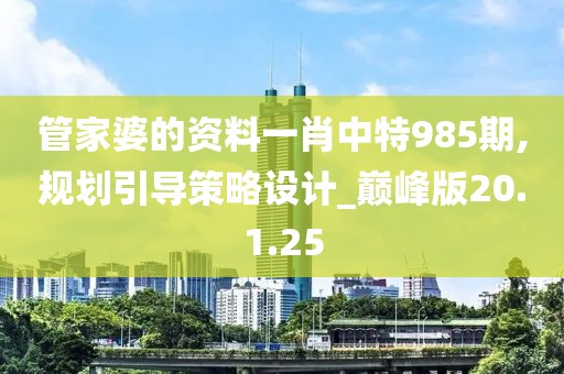 管家婆的资料一肖中特985期,规划引导策略设计_巅峰版20.1.25