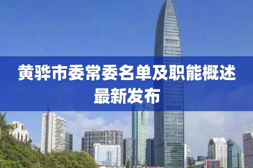 黄骅市委常委名单及职能概述最新发布