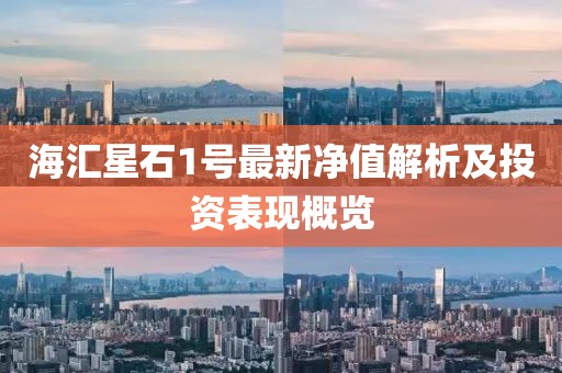 海汇星石1号最新净值解析及投资表现概览