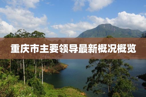 重庆市主要领导最新概况概览