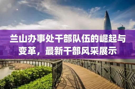 兰山办事处干部队伍的崛起与变革，最新干部风采展示