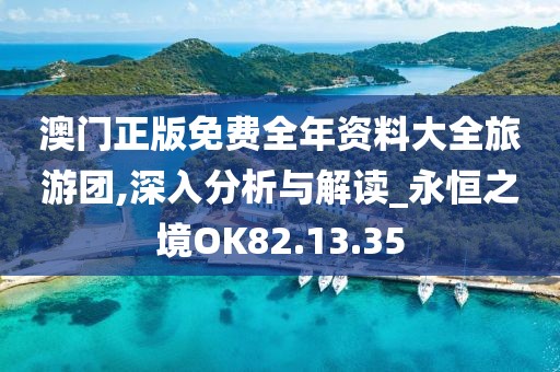 澳门正版免费全年资料大全旅游团,深入分析与解读_永恒之境OK82.13.35