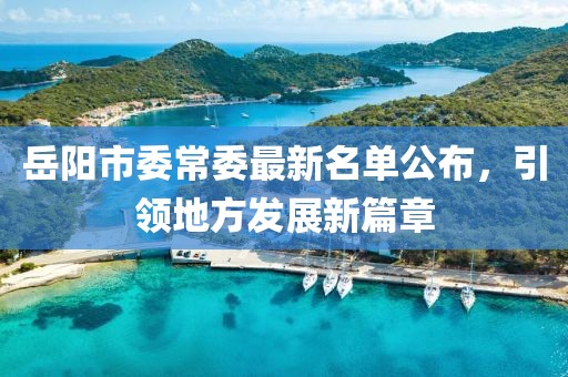 岳阳市委常委最新名单公布，引领地方发展新篇章
