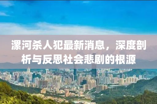 漯河杀人犯最新消息，深度剖析与反思社会悲剧的根源