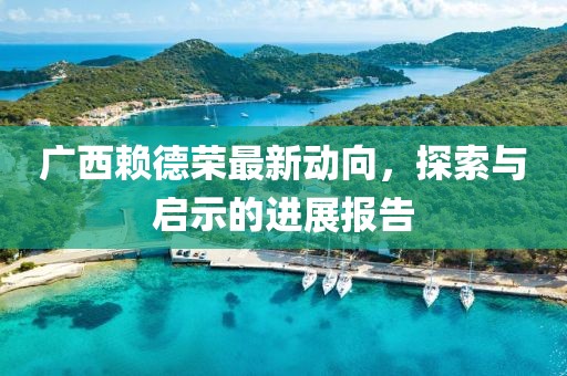 广西赖德荣最新动向，探索与启示的进展报告