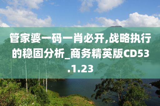管家婆一码一肖必开,战略执行的稳固分析_商务精英版CD53.1.23