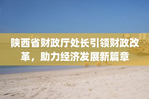 陕西省财政厅处长引领财政改革，助力经济发展新篇章