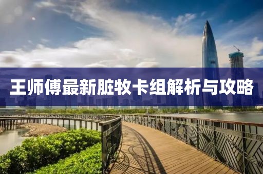 王师傅最新脏牧卡组解析与攻略