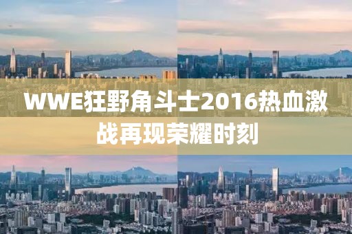 WWE狂野角斗士2016热血激战再现荣耀时刻