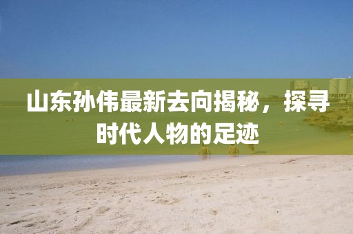 山东孙伟最新去向揭秘，探寻时代人物的足迹