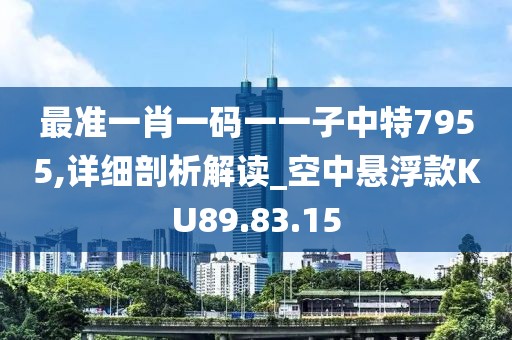 最准一肖一码一一子中特7955,详细剖析解读_空中悬浮款KU89.83.15