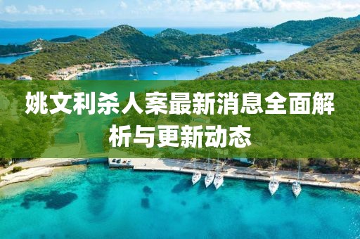 姚文利杀人案最新消息全面解析与更新动态