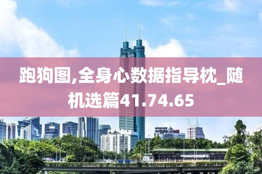 跑狗图,全身心数据指导枕_随机选篇41.74.65