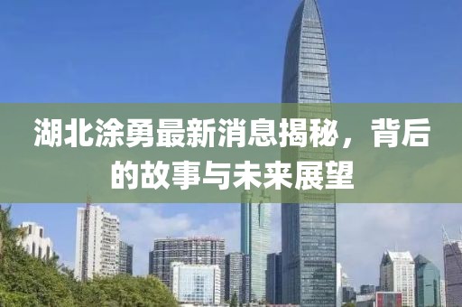 湖北涂勇最新消息揭秘，背后的故事与未来展望