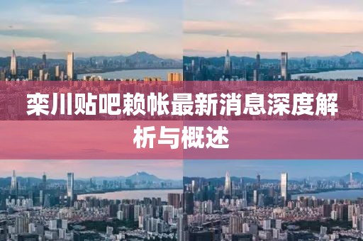 栾川贴吧赖帐最新消息深度解析与概述
