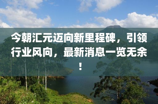今朝汇元迈向新里程碑，引领行业风向，最新消息一览无余！