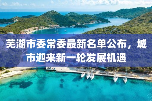芜湖市委常委最新名单公布，城市迎来新一轮发展机遇