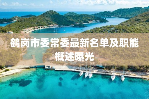 鹤岗市委常委最新名单及职能概述曝光