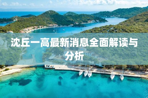 沈丘一高最新消息全面解读与分析
