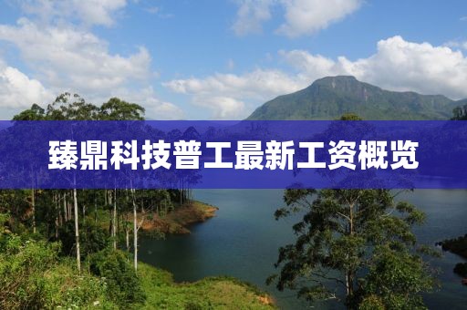 臻鼎科技普工最新工资概览