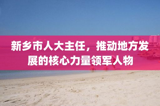 新乡市人大主任，推动地方发展的核心力量领军人物