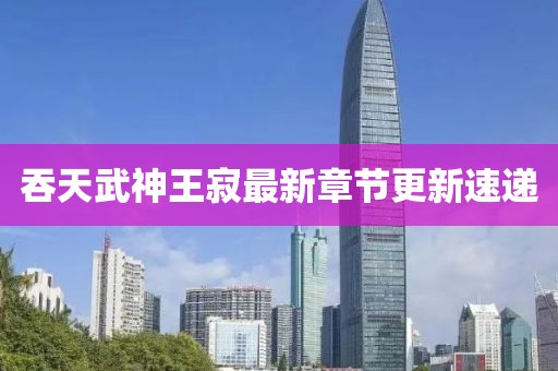 吞天武神王寂最新章节更新速递