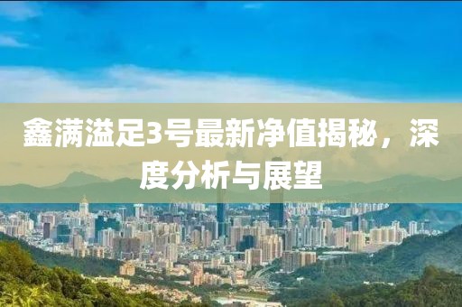 鑫满溢足3号最新净值揭秘，深度分析与展望
