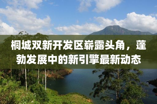 桐城双新开发区崭露头角，蓬勃发展中的新引擎最新动态