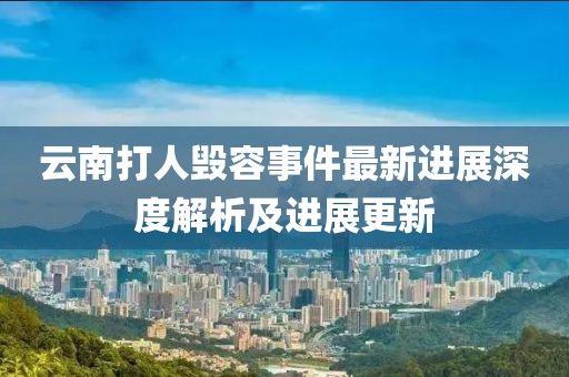 云南打人毁容事件最新进展深度解析及进展更新