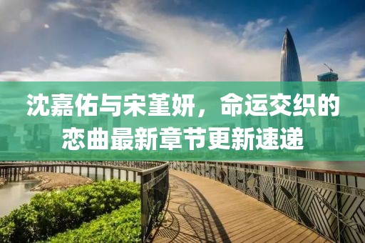 沈嘉佑与宋堇妍，命运交织的恋曲最新章节更新速递