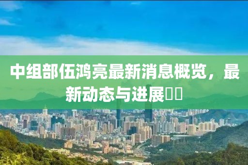 中组部伍鸿亮最新消息概览，最新动态与进展​​