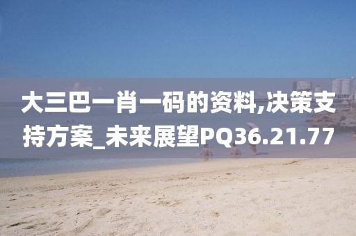 大三巴一肖一码的资料,决策支持方案_未来展望PQ36.21.77