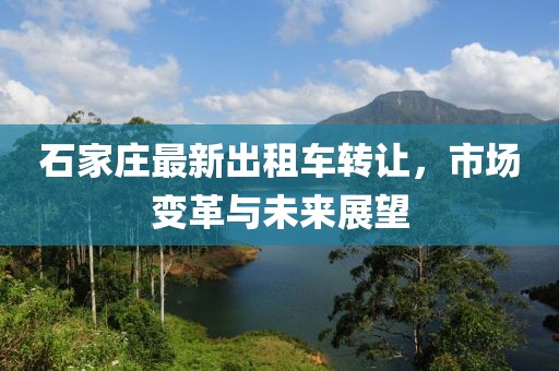石家庄最新出租车转让，市场变革与未来展望