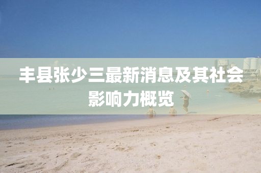 丰县张少三最新消息及其社会影响力概览