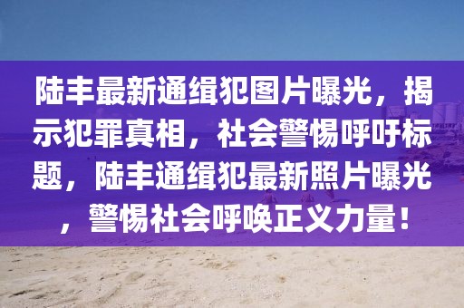 陆丰最新通缉犯图片曝光，揭示犯罪真相，社会警惕呼吁标题，陆丰通缉犯最新照片曝光，警惕社会呼唤正义力量！