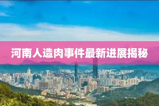 河南人造肉事件最新进展揭秘
