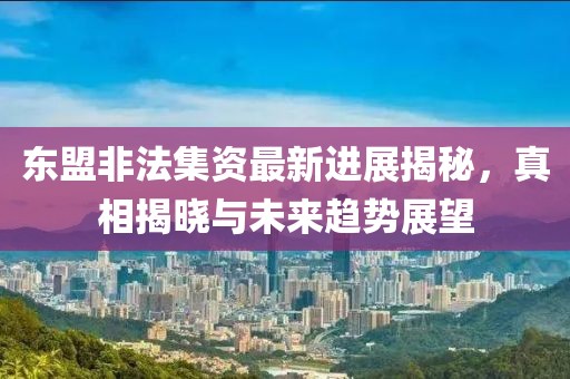东盟非法集资最新进展揭秘，真相揭晓与未来趋势展望