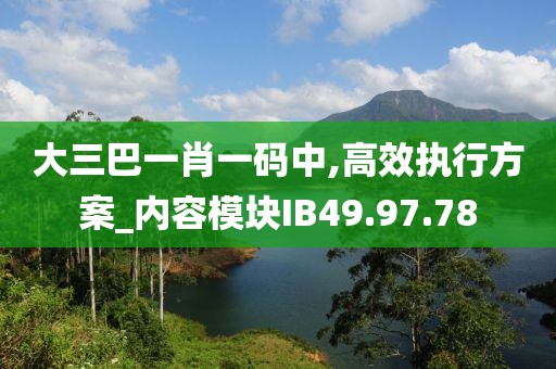 大三巴一肖一码中,高效执行方案_内容模块IB49.97.78