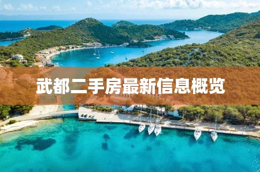2025年2月 第4页