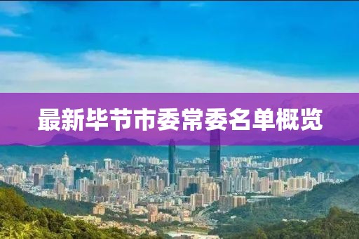 最新毕节市委常委名单概览