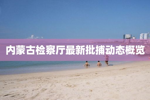 内蒙古检察厅最新批捕动态概览