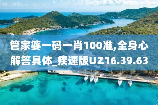 管家婆一码一肖100准,全身心解答具体_疾速版UZ16.39.63