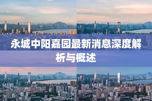 永城中阳嘉园最新消息深度解析与概述