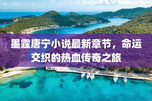墨霆唐宁小说最新章节，命运交织的热血传奇之旅