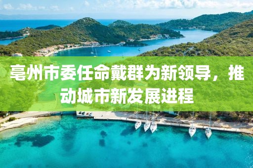 亳州市委任命戴群为新领导，推动城市新发展进程