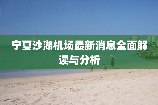 宁夏沙湖机场最新消息全面解读与分析